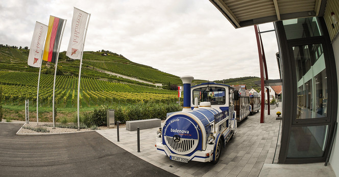 Fahrt mit dem Kaiserstuhl-Express - 16