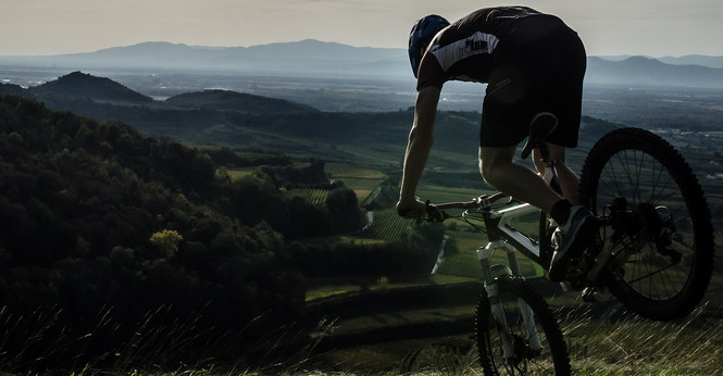 MTB auf Schelinger Höhe