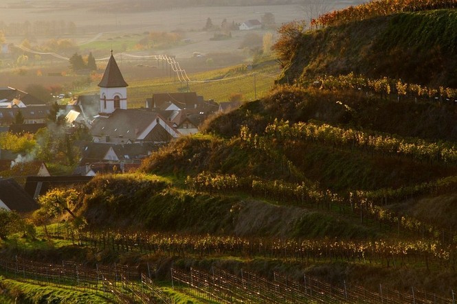 Vogtsburg-Achkarren im Herbst