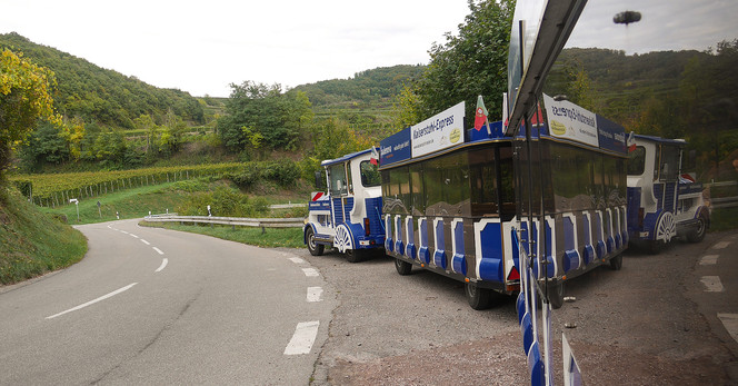 Fahrt mit dem Kaiserstuhl-Express - 3