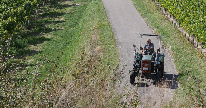 Traktor-Mondhalde.JPG