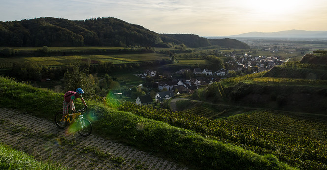 MTB Landschaft