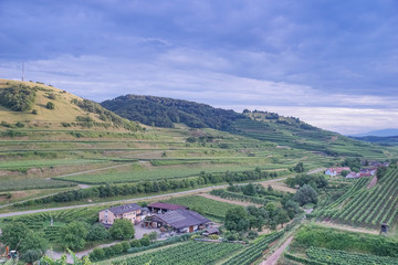 Weingut Schätzle Schelingen neu