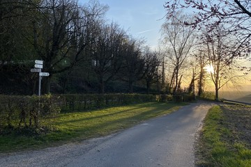 Bild vom Stellplatz in Achkarren