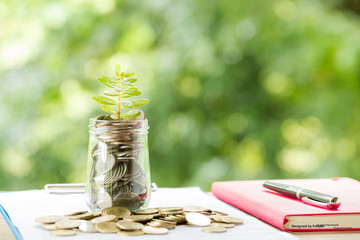 plant-growing-savings-coins.jpg