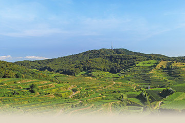 Vogtsburg_Landschaft