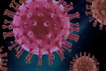 virus-4937553_1920.jpg