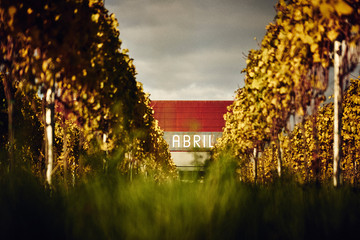 Weingut Abril