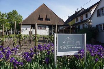 Weinbaumuseum